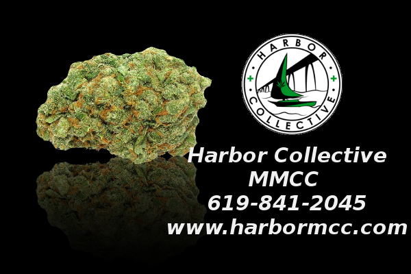Harbor Collective MMCC Saturday Ad