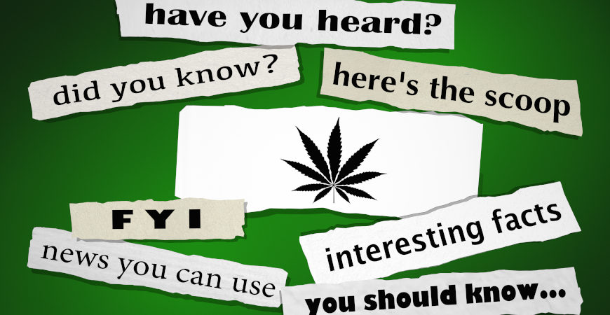 The Push to Rebrand Cannabis, A Noble Quest or A Means to Hide an Age-Old Stigma?