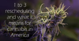 1 to 3 Cannabis Rescheduling and What it Means