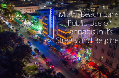 Miami Beach Bans Public Use of Cannabis