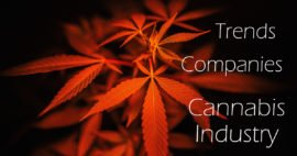 Trends and Companies in the Cannabis Industry
