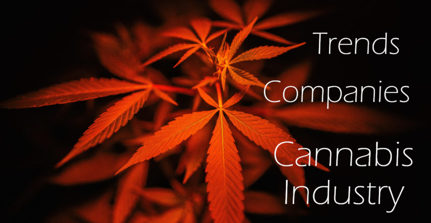 Trends and Companies in the Cannabis Industry